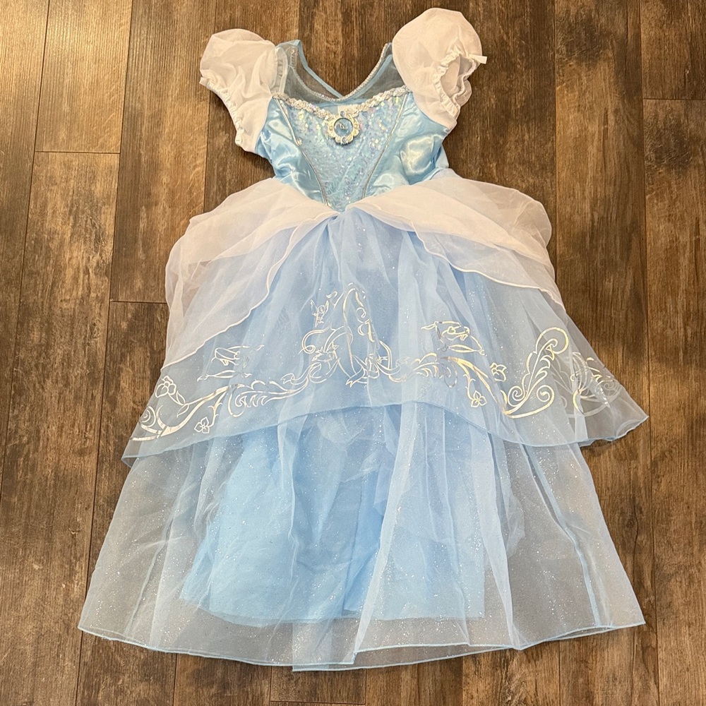 Disney Cinderella Light Blue and White Princess Costume